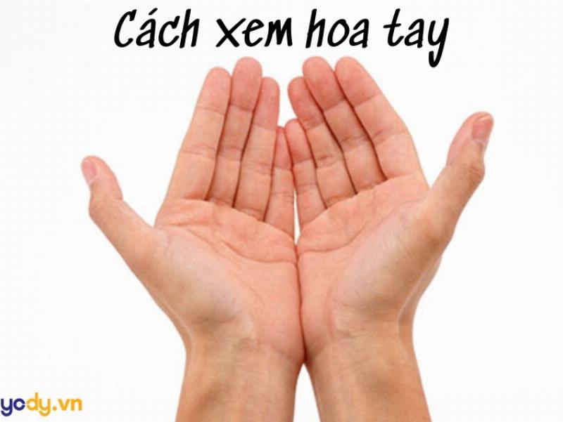 Hinh anh ban tay voi van tay dang xoay tron giong bong hoa the hien hoa tay